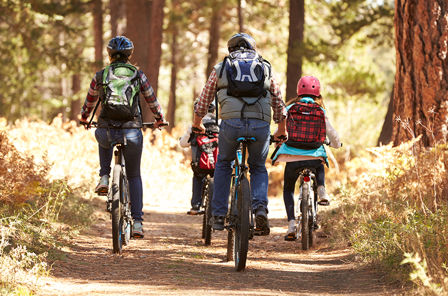 family jordans shoes